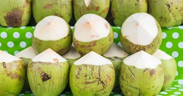 Primadona Buah Kelapa Hijau Di Tengah Pandemi